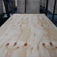 Byggekvalitet CDX fyrre krydsfiner